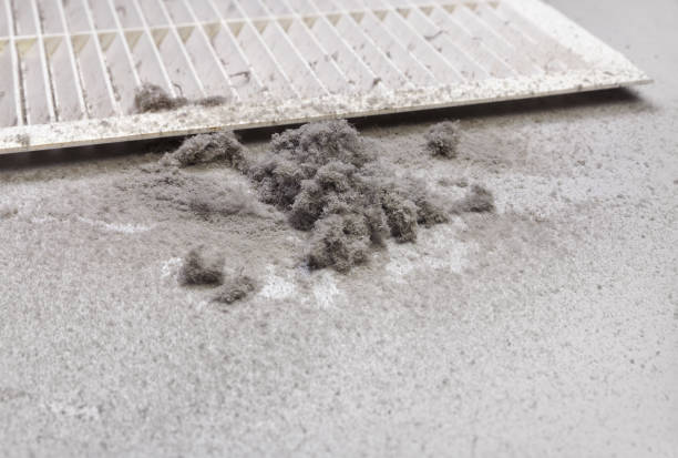 Best Emergency Air Duct Cleaning  in Stanleytown, VA