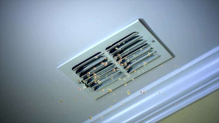 Best Residential Air Duct Cleaning  in Stanleytown, VA