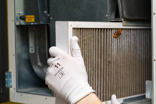 Best Dryer Vent Cleaning Services  in Stanleytown, VA